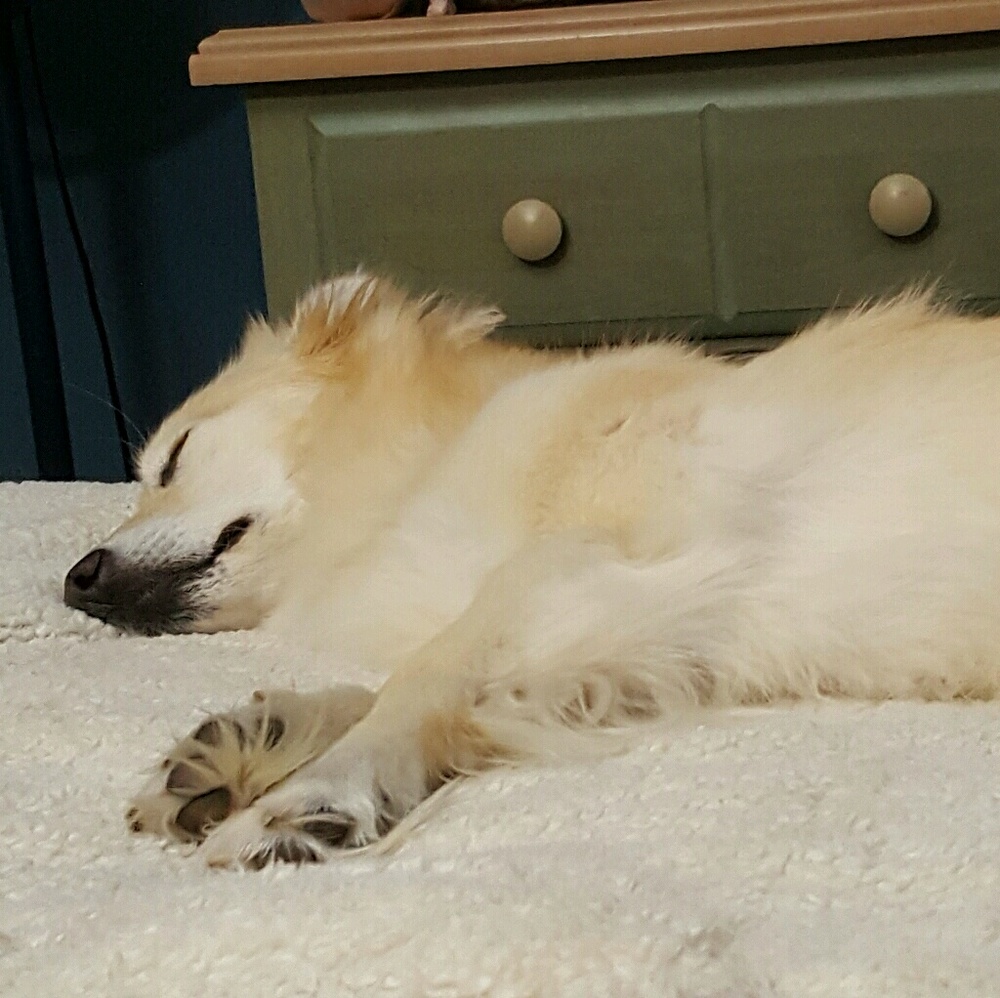 Meet your Posher, Coral